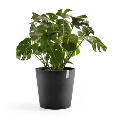 Ecopots Amsterdam sort 50 cm Ecopots Amsterdam sort 50 cm